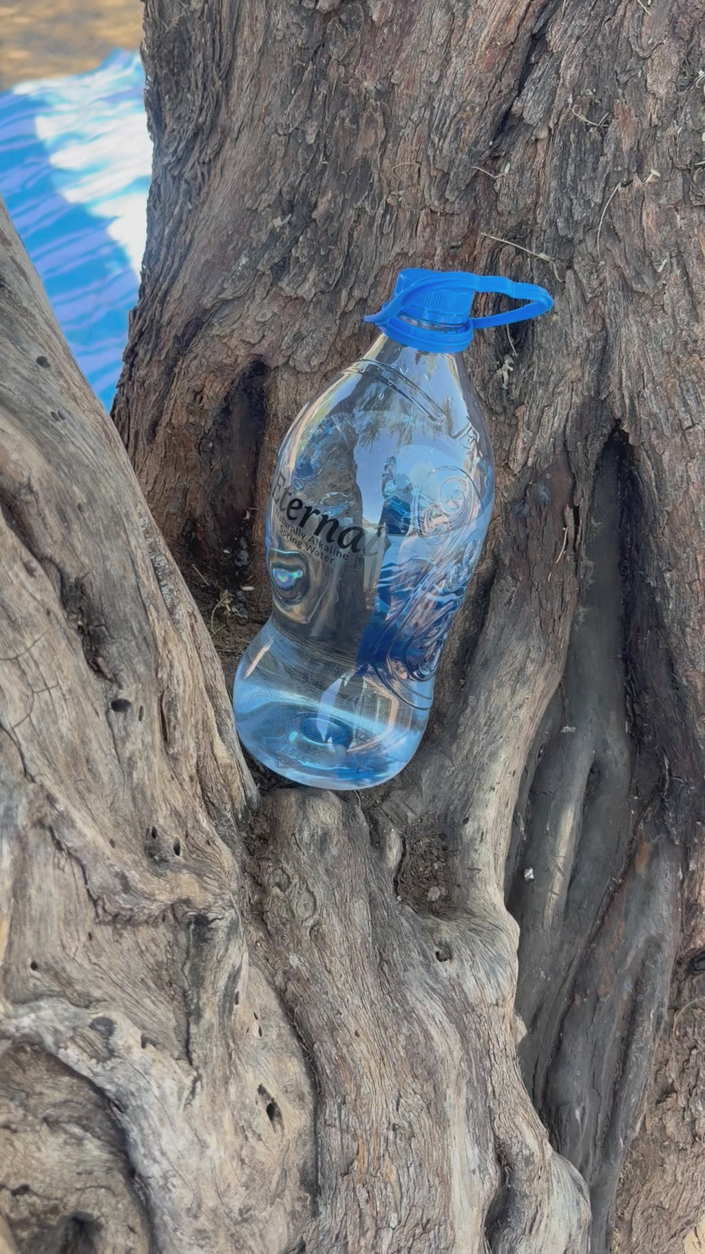 Eternal Premium Alkaline Spring Water – Single Bottle (1 Liter / 33.8 fl oz)